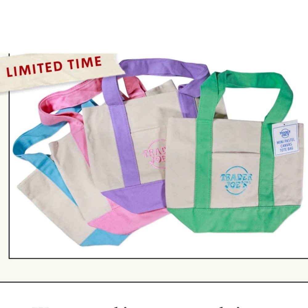 Trader Joe’s Pastel Blue Mini Tote | Viral